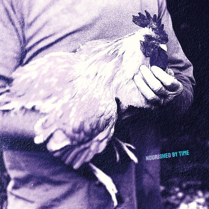 Nourished by Time - Catching Chickens - EP