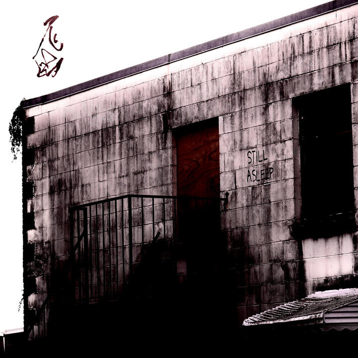 Total Wife - Still Asleep