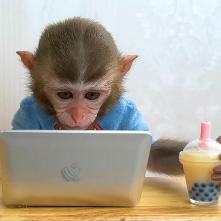 ✩I FEEL SO ALIVE✩ ꒰◍ᐡᐤᐡ◍꒱ - THE PLUG'S GONNA HEAL ME