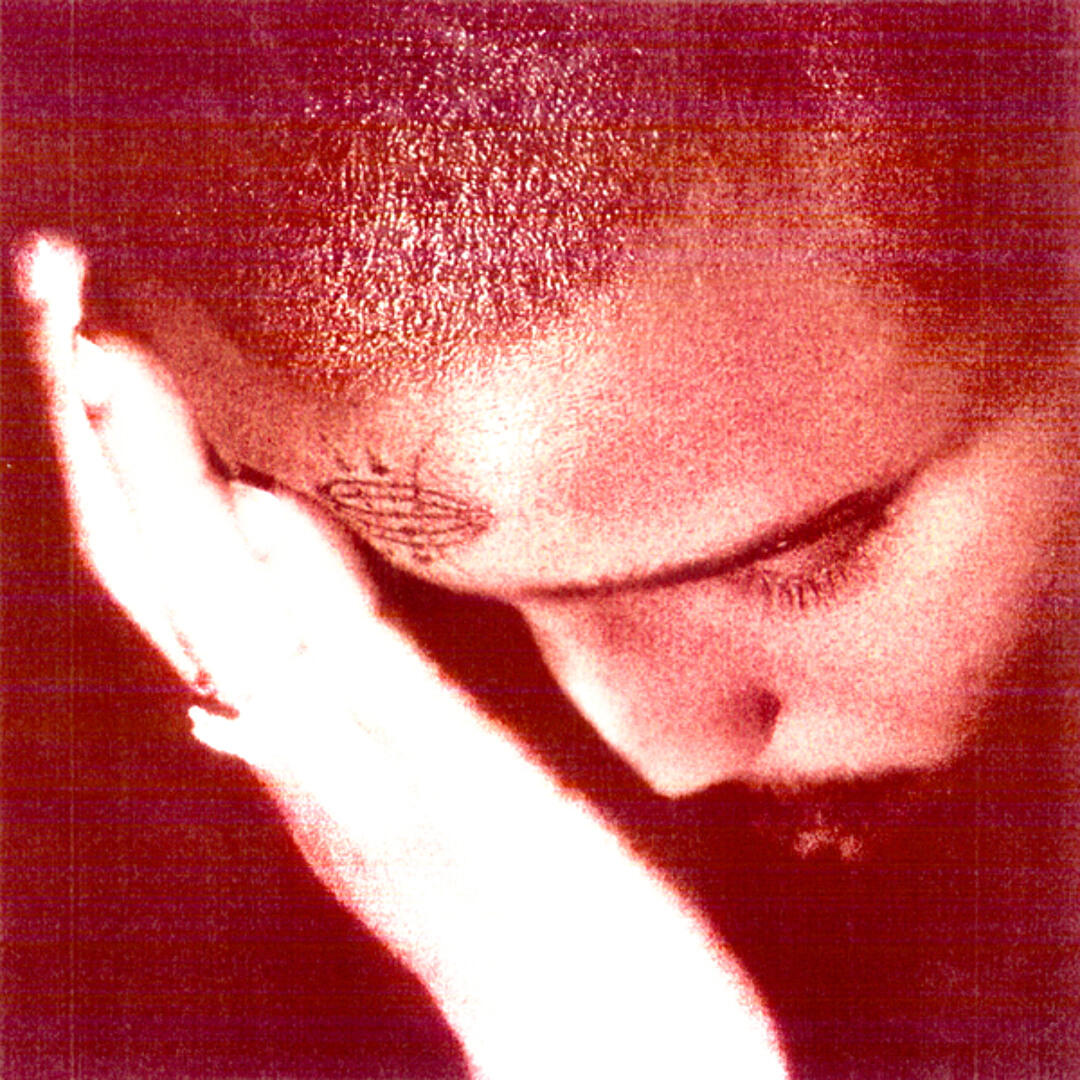 Nourished by Time - The Passionate Ones